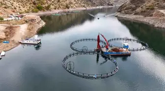 Diyarbakır'da Mezopotamya Somonu Üretimi Başladı