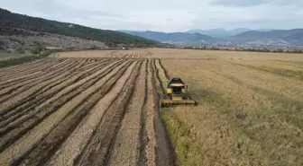 Osmancık Pirinci Teknolojik Yöntemlerle Daha Lezzetli Hale Geliyor