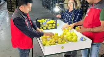 Ortaca'da İhraç Edilecek Tarım Ürünleri Bitki Sağlık Sertifikası Aldı