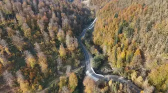 Sonbahar Renkleri Sinop'ta Görsel Şölen Sunuyor