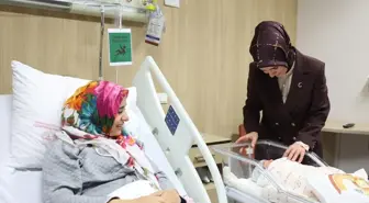 Her yeni doğan bebek ve yeni evli çift adına bir fidan