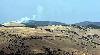 Kars'ta Orman Yangını: 1,5 Hektar Alan Zarar Gördü