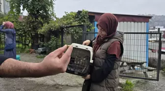 Zonguldak'ta Kaybolan Kediye Yorgun Mermi İspatı