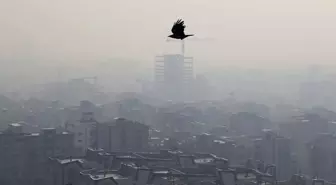 Komşu ülkede hava kirliliği nedeniyle eğitime ara verildi