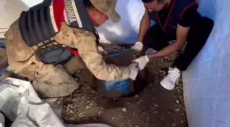 Hatay'da Deprem Çadırında Uyuşturucu Ele Geçirildi