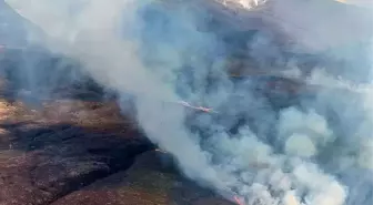 Yeni Zelanda'daki Orman Yangını 2.500 Hektarlık Alanı Etkiliyor