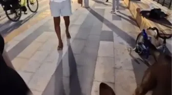 Alanya'da Yabancı Kıza Köpeğiyle Tehdit: Tepkiler Büyüyor