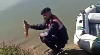 Bilecik'te Yasadışı Balık Avcılığına Cezalar