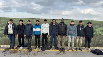 Edirne'de 10 Kaçak Göçmen Yakalandı