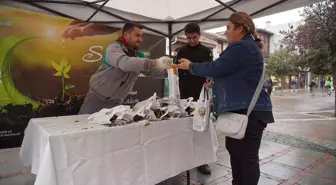 Edirne'de 11 Kasım Milli Ağaçlandırma Günü Kutlandı