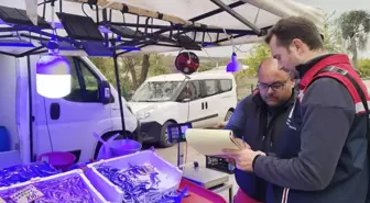 Edirne'de Su Ürünleri Denetimi ve Süne ile Mücadele Çalışmaları