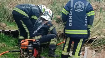 Denizli'de Fosseptik Çukuruna Düşen Köpek İtfaiye Tarafından Kurtarıldı