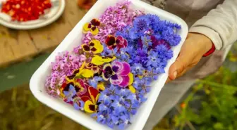 Gastronomide yeni trend: Yenilebilir çiçekler gündemde