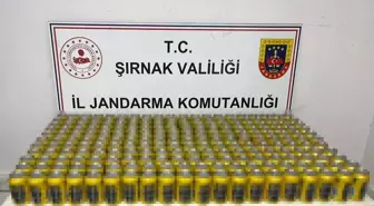 Şırnak'ta Kaçakçılık Operasyonları: 91 Şüpheli Yakalandı