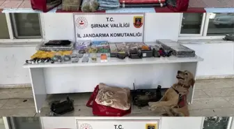 Şırnak'ta Kaçakçılık Operasyonu: 91 Şüpheli Yakalandı