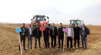 Sivas'ta Yeni Ekmeklik Buğday Çeşitleri Toprakla Buluştu