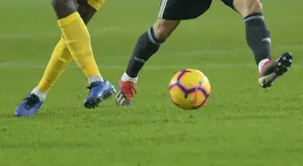 Türkiye'de kaç futbolcu var? TFF lisanslı futbolcu sayısı!