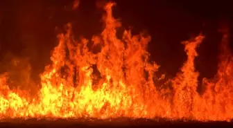 Yüksekova'daki Nehil Sazlığı'nda Yangın: Yerleşim Alanları Tehdit Altında