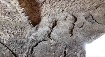 Adıyaman'da 1800 Yıllık Oda Mezarı Bulundu