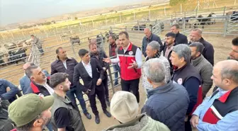 Batman'da Hayvan Pazarı ve Kesimhanede İncelemeler