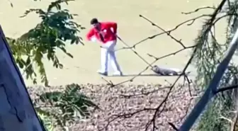 Edirne'de Belediye Personeli Sokak Köpeğini İple Sürükledi