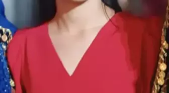 Ayçiçeği Hasadı Sırasında Faciadan Kaçınılmadı