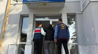 Çanakkale'de Boş Arazide Kız Bebek Cesedi Bulundu, Yabancı Uyruklu Kadın Gözaltında