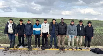 Edirne'de Yasa Dışı Göçmen Operasyonu: 10 Kişi Yakalandı