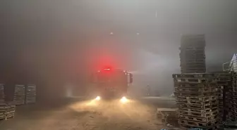 Edirne'deki Palet Fabrikasında Yangın Çıktı