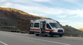 Bilecik'te Elektrik Direğine Çarpan Kamyonet Sürücüsü Yaralandı