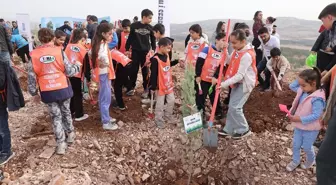 Milli Ağaçlandırma Günü'nde Fidan Dikme Etkinlikleri Düzenlendi