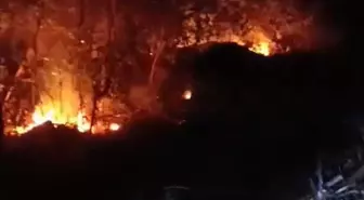 Hatay'da Yıldırım Düşmesi Sonucu Orman Yangınları Kontrol Altına Alındı