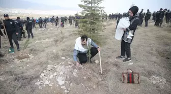 11 Kasım Milli Ağaçlandırma Günü'nde 6 İlde Fidan Dikildi