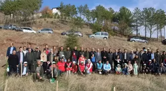 İskilip'te 200 fidan toprakla buluşturuldu