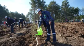 KARDEMİR'den fidan dikimi seferberliğine destek