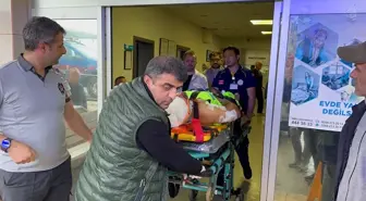 Mantar Toplarken Ayının Saldırısına Uğrayan İmam Yaralandı