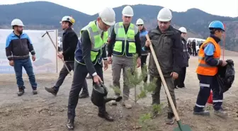 Kastamonu'da 11 Kasım Milli Ağaçlandırma Günü Fidan Dikimi Yapıldı