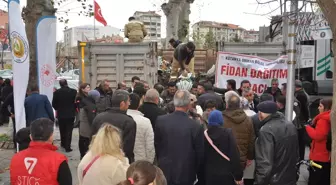 Kütahya'da Fidan Dağıtımı Coşkuyla Gerçekleşti