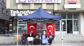 Muş'ta PKK tarafından kaçırılan çocuklar için ailelerin eylemi devam ediyor