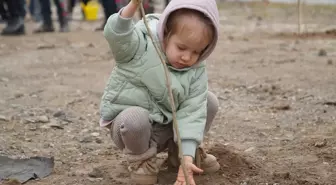 Osmancık'ta 11 Kasım Milli Ağaçlandırma Günü Etkinliği Düzenlendi