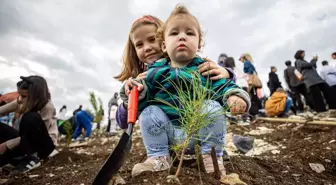 Sakarya ve çevre illerde on binlerce fidan toprakla buluştu