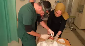 Siirt'te Erken Doğan Bebekler için ROP Muayeneleri Başladı