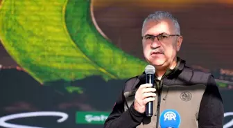 Silivri'de 11 Kasım Milli Ağaçlandırma Günü'nde 15 bin fidan toprakla buluştu