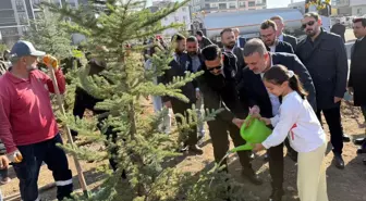 Sincan'da Milli Ağaçlandırma Günü Etkinliği