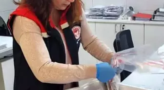 Söke'den Yurtdışına İhraç Edilecek Balıklara Strik Testler