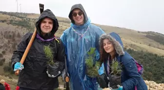 TİKA'dan Mostar'da Ağaçlandırma Destek