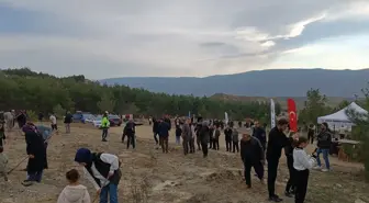 Tosya'da Milli Ağaçlandırma Günü'nde fidan dikimi yapıldı