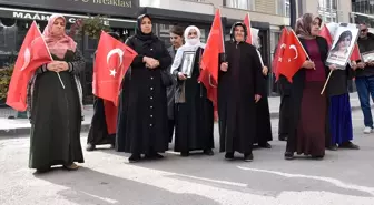 Van'da Çocuklarını Dağa Kaçırılan Ailelerden Eylem