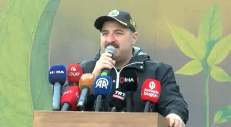 Varank: Kanunen, yanan ormanlar sadece orman yapılabilir