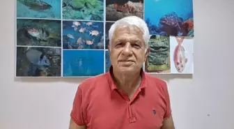 Akdeniz'de Kızıldeniz Balık Türleri Hakim Oluyor